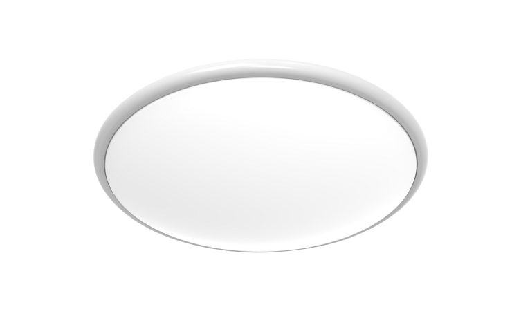 wilx_white_1100_6